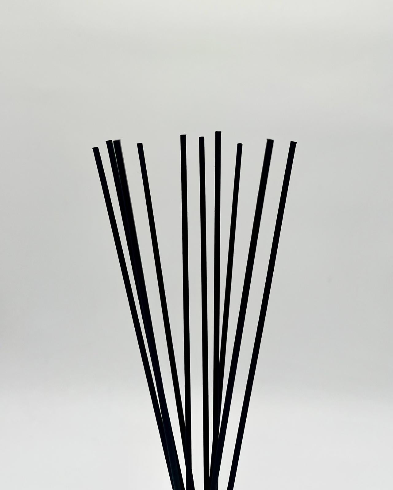 60cm Black Diffuser Sticks Pack of 10